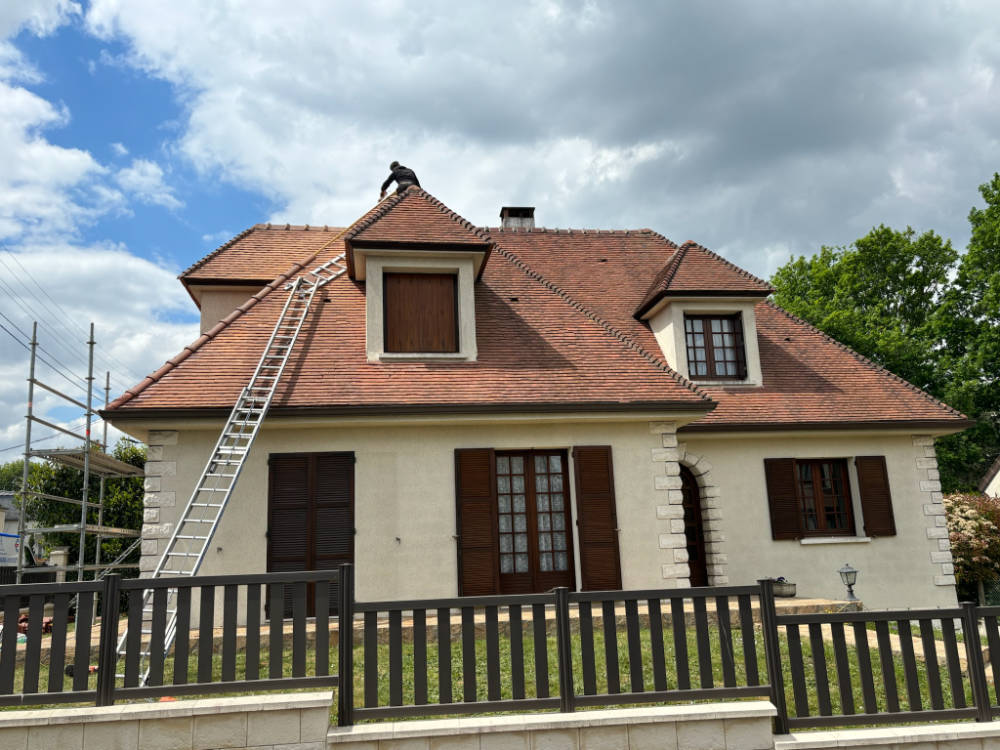 Maison avec chien-assis sous échelle pendant la réparation de sa toiture